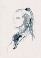 http://www.actionaqua.com/files/gimgs/th-94_portrait 5.jpg